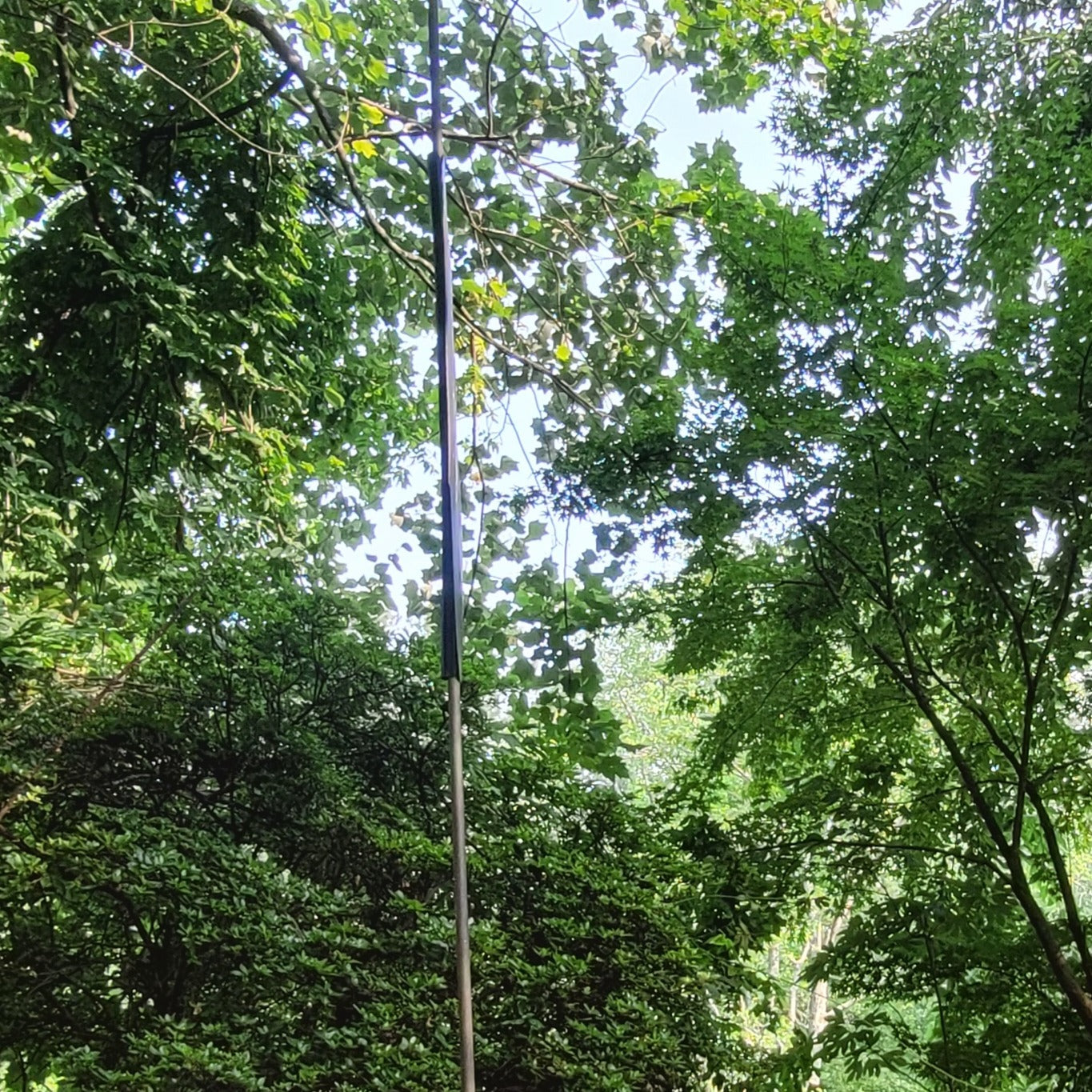 Bird Feeder and T-Post slides